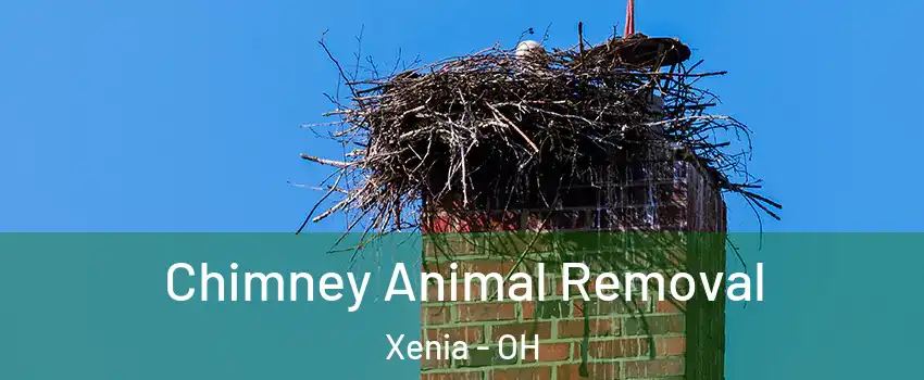  Chimney Animal Removal Xenia - OH