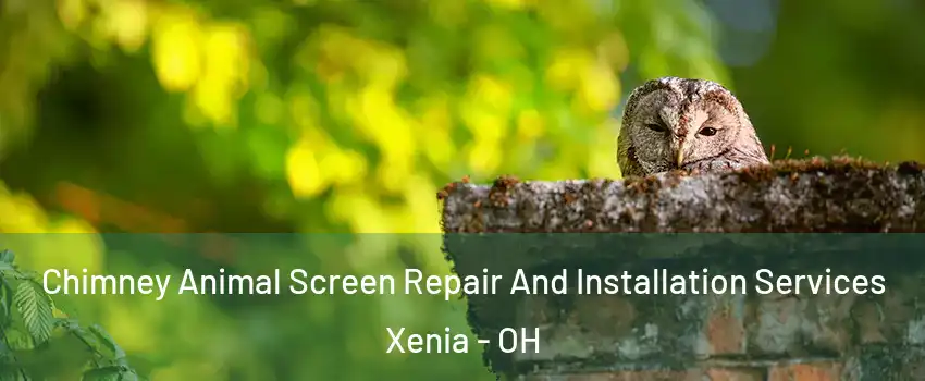  Chimney Animal Screen Repair And Installation Services Xenia - OH