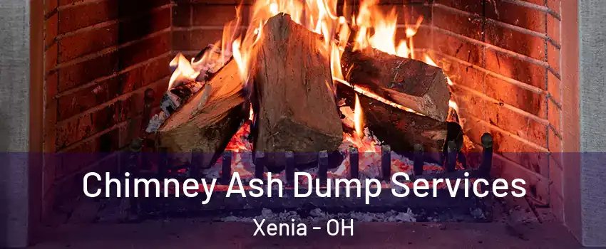  Chimney Ash Dump Services Xenia - OH