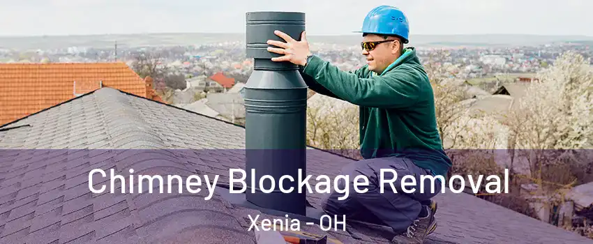  Chimney Blockage Removal Xenia - OH