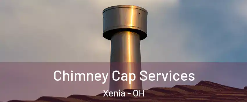  Chimney Cap Services Xenia - OH