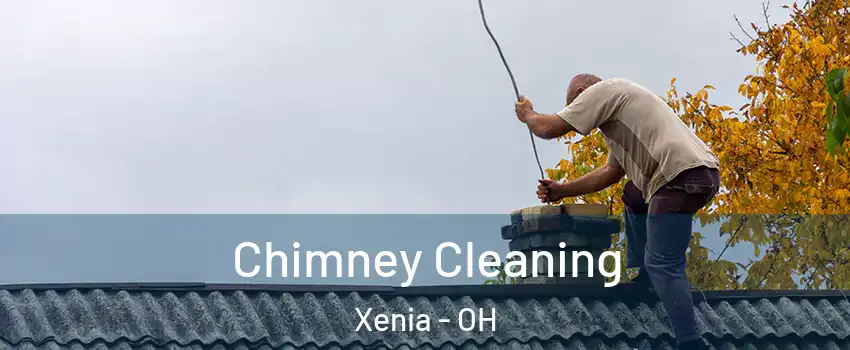  Chimney Cleaning Xenia - OH
