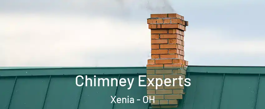  Chimney Experts Xenia - OH