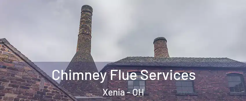  Chimney Flue Services Xenia - OH
