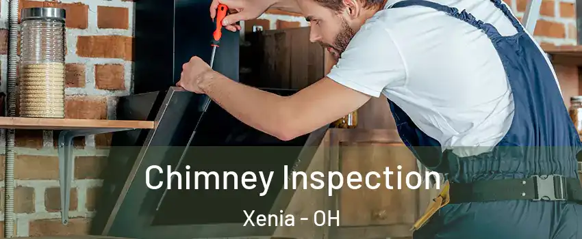  Chimney Inspection Xenia - OH
