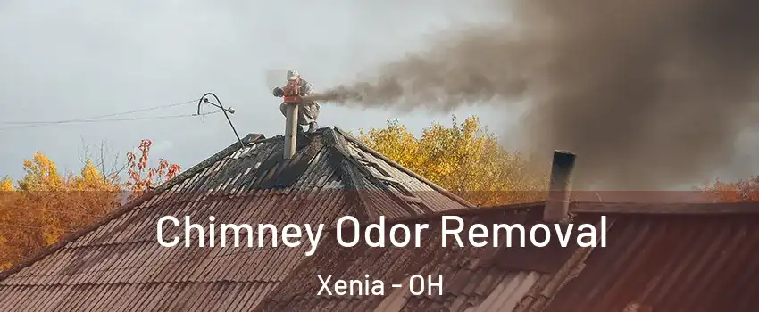  Chimney Odor Removal Xenia - OH