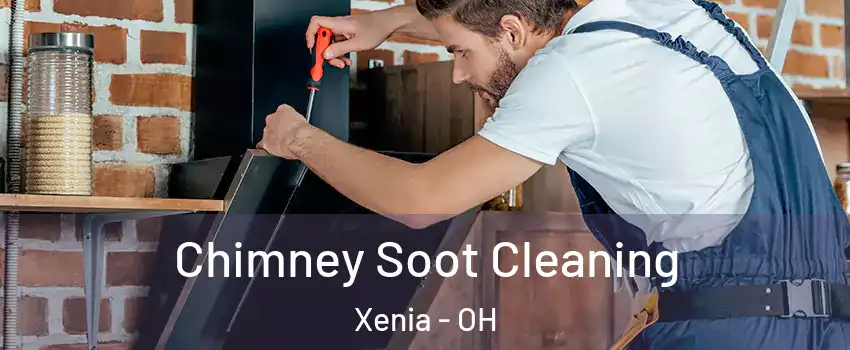  Chimney Soot Cleaning Xenia - OH