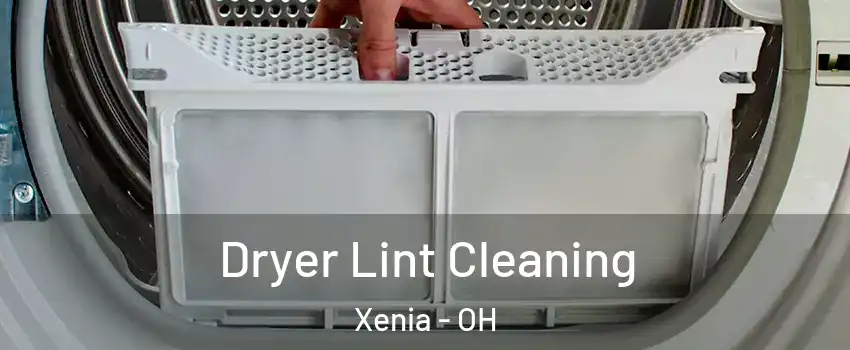  Dryer Lint Cleaning Xenia - OH