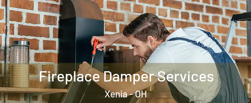 Fireplace Damper Services Xenia - OH