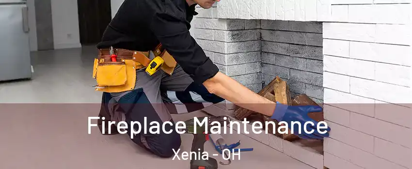  Fireplace Maintenance Xenia - OH