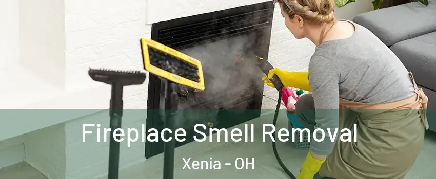  Fireplace Smell Removal Xenia - OH