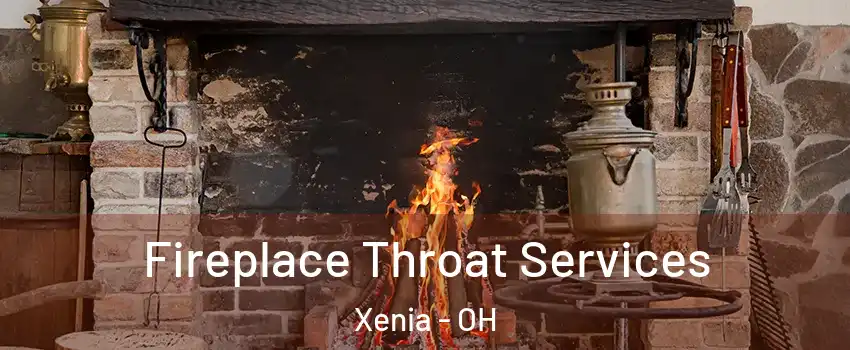  Fireplace Throat Services Xenia - OH