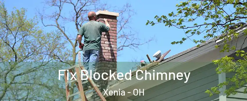  Fix Blocked Chimney Xenia - OH