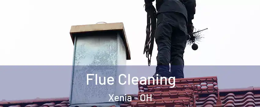  Flue Cleaning Xenia - OH