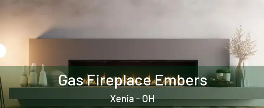  Gas Fireplace Embers Xenia - OH