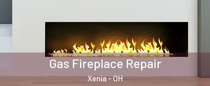  Gas Fireplace Repair Xenia - OH