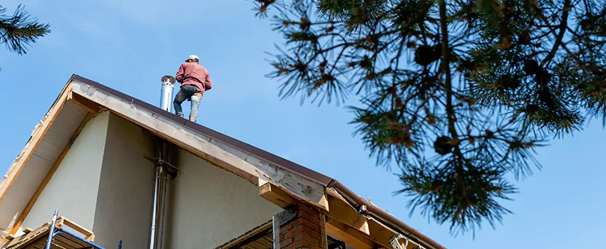 Birds Removal Contractors from Chimney in Xenia, OH