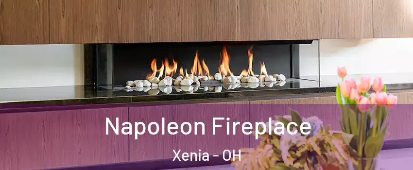  Napoleon Fireplace Xenia - OH