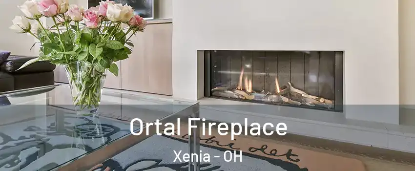  Ortal Fireplace Xenia - OH